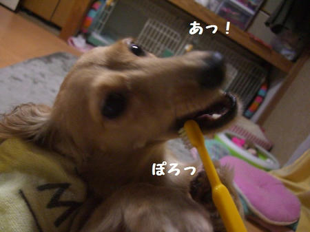 CIMG1177.JPG