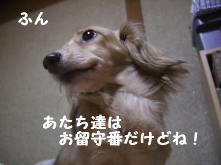 9b465e53.JPG