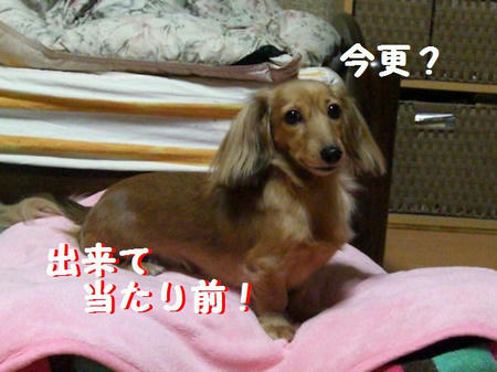 CIMG4079.JPG