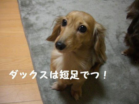 d2b01a66.JPG
