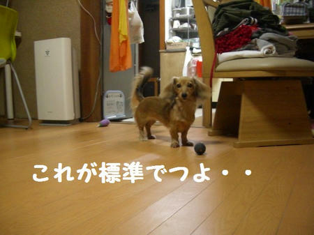 50420f87.JPG