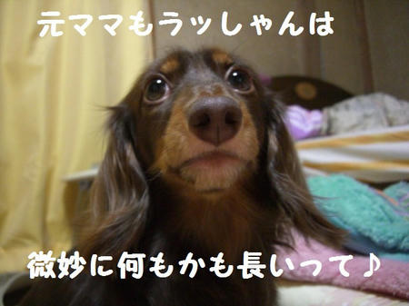 6a7bd20b.JPG