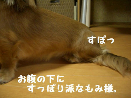 b3c530be.JPG