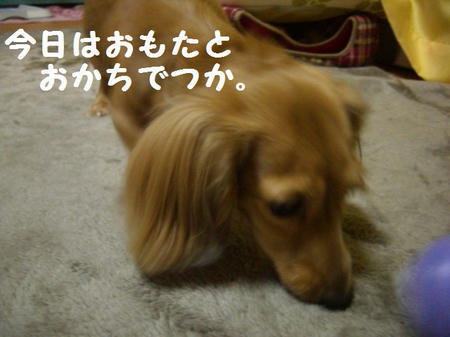 d1fe8d73.JPG