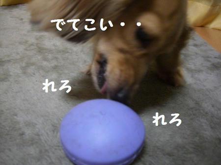 CIMG4164.JPG