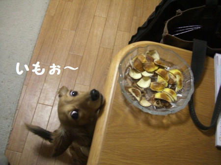 CIMG4369.JPG