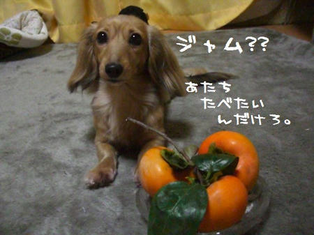 CIMG4652.JPG
