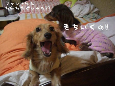 CIMG4884.JPG