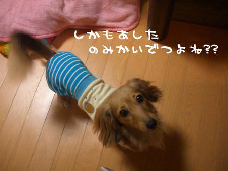 092983ea.JPG