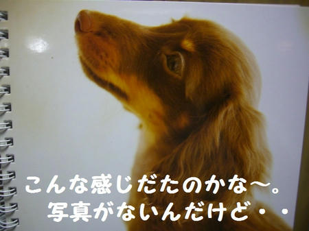 CIMG5064.JPG