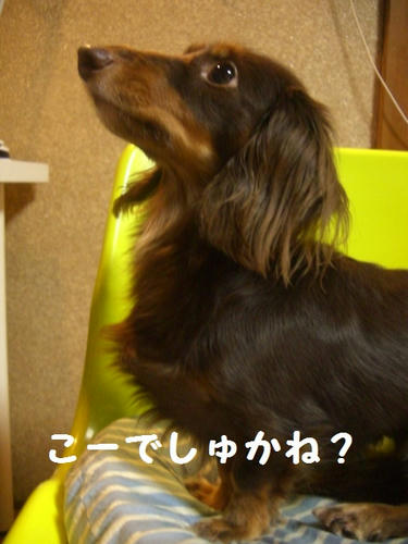 b0b4b174.JPG