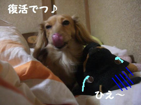 CIMG5133.JPG