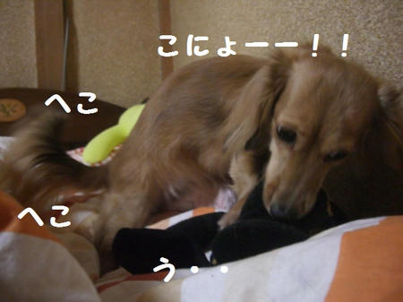 CIMG5134.JPG