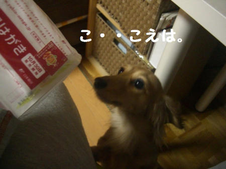CIMG5179.JPG