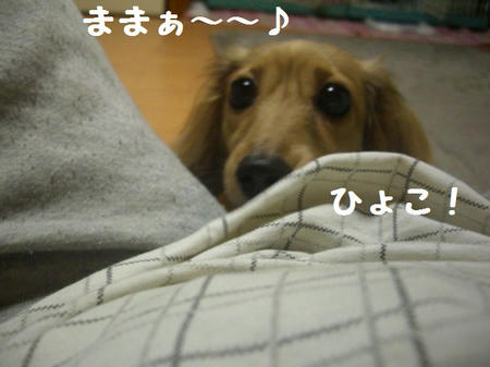 40122f73.JPG