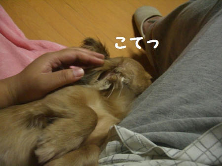 CIMG5295.JPG