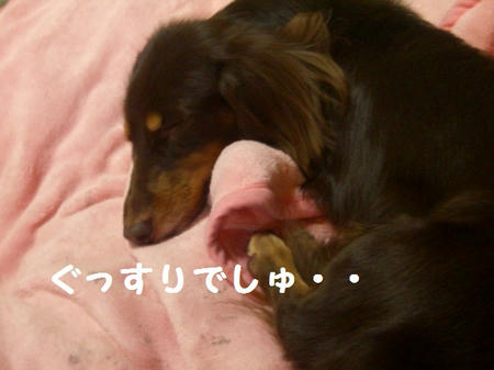 CIMG5598.JPG