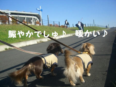 CIMG5706.JPG