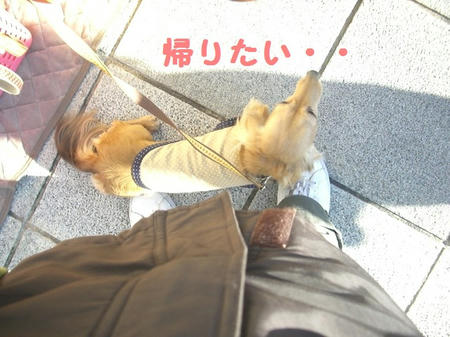 f2e346d6.JPG