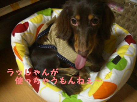 aaace997.JPG