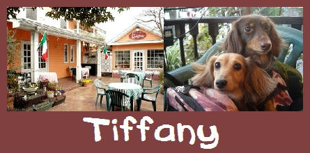 tiffany_ma_2_1124672780_300.jpg