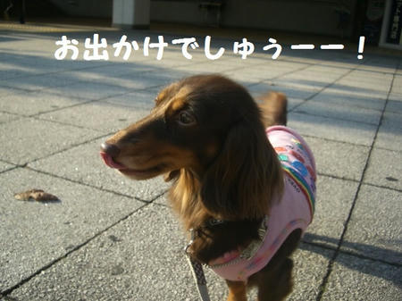 CIMG5925.JPG