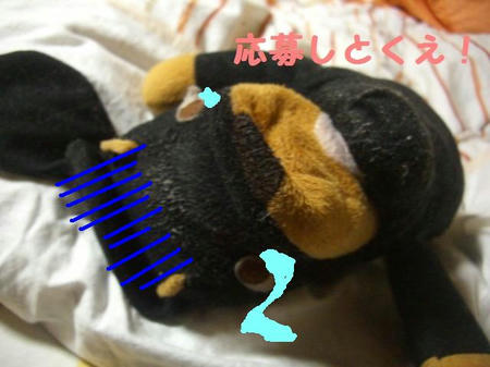 CIMG6148.JPG