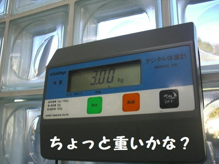 fa9760c6.JPG