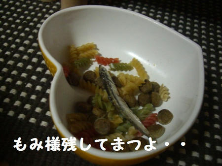 c0376f5c.JPG