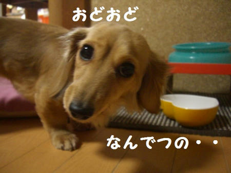 4eb93db9.JPG