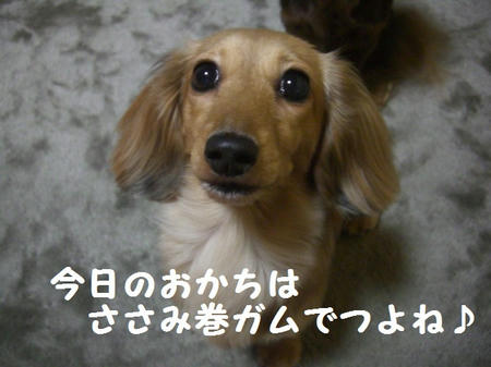 CIMG6194.JPG