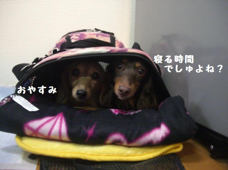 CIMG6429.JPG