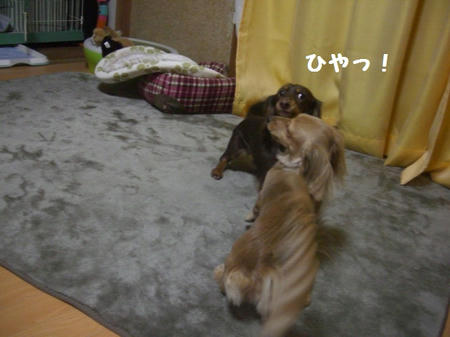 e7568bd9.JPG