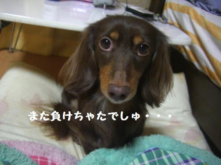 CIMG6628.JPG