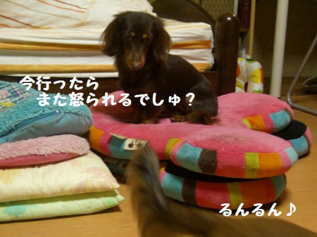 CIMG6631.JPG