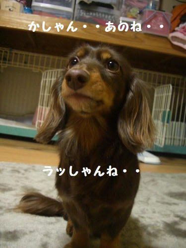 CIMG6675.JPG