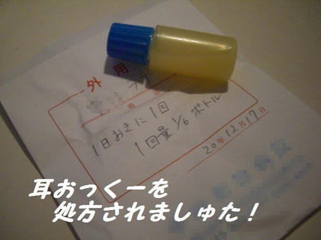 CIMG6813.JPG