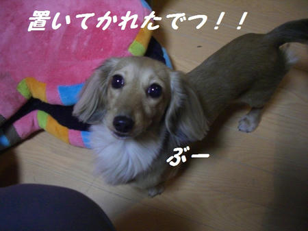 CIMG6815.JPG