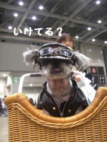 CIMG7154.JPG