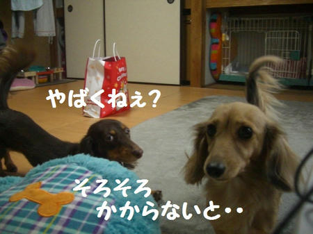 4e15a435.JPG