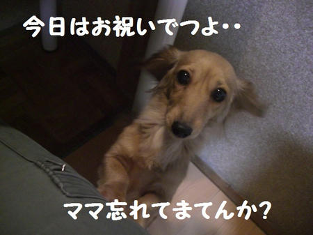 CIMG7254.JPG