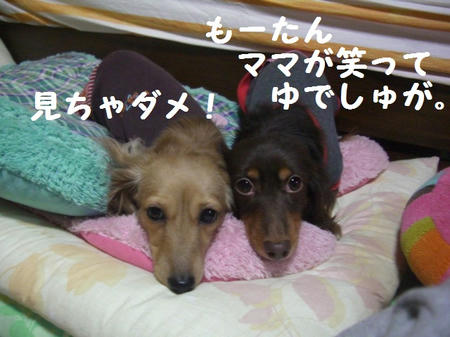 28242e5f.JPG