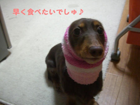 02794e19.JPG