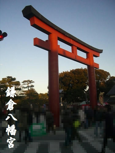 CIMG8077.JPG