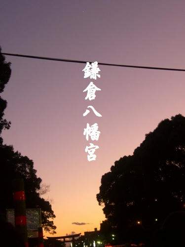 CIMG8079.JPG