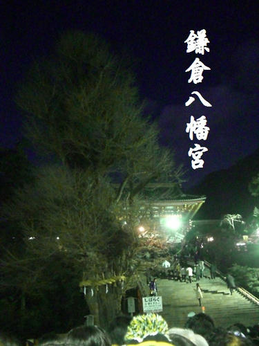 CIMG8080.JPG