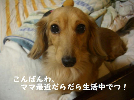 CIMG8367.JPG