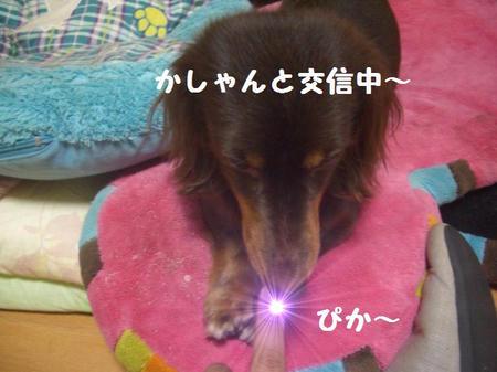 CIMG8368.JPG