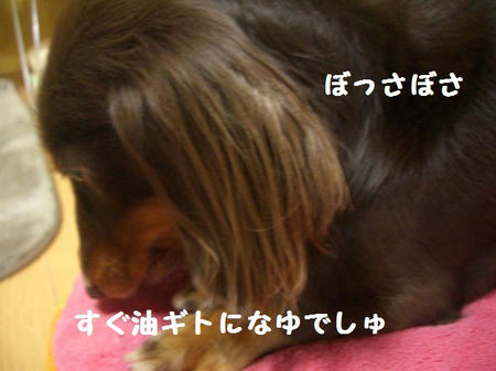CIMG8369.JPG