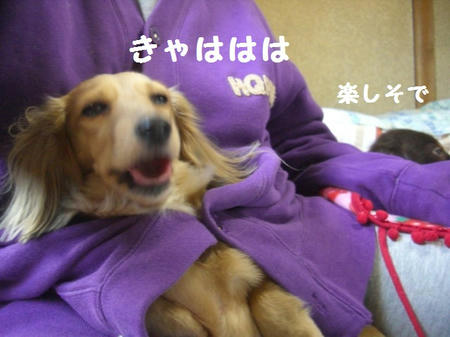 8dd5f585.JPG
